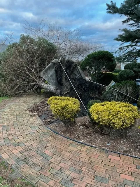 Professional yard cleanup service in Red Bank, NJ - A SUMMER PLACE landscaping