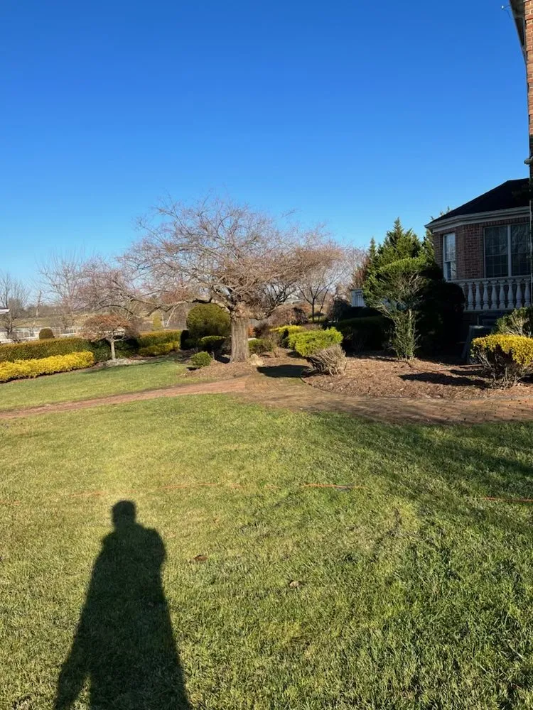 Trusted residential landscaping in Red Bank, NJ - A SUMMER PLACE landscaping