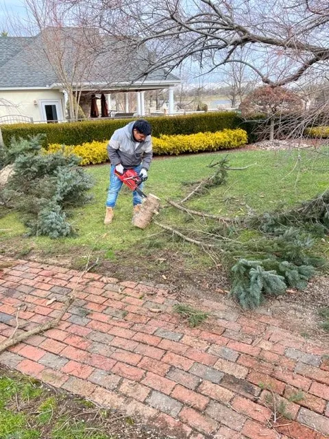 Professional garden landscaping in Red Bank, NJ - A SUMMER PLACE landscaping