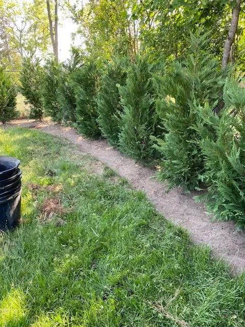 Local residential landscaping for homes across Red Bank, NJ - A SUMMER PLACE landscaping