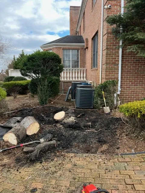 Professional lawn care service for homes in Red Bank, NJ by A SUMMER PLACE landscaping