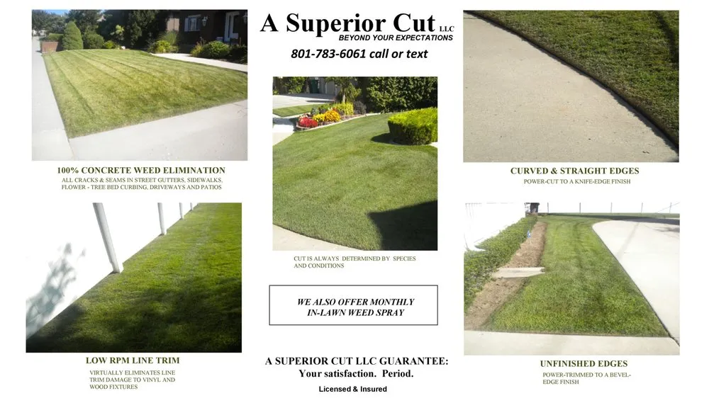 Top-rated residential landscaping in Murray, UT by A Superior Cut