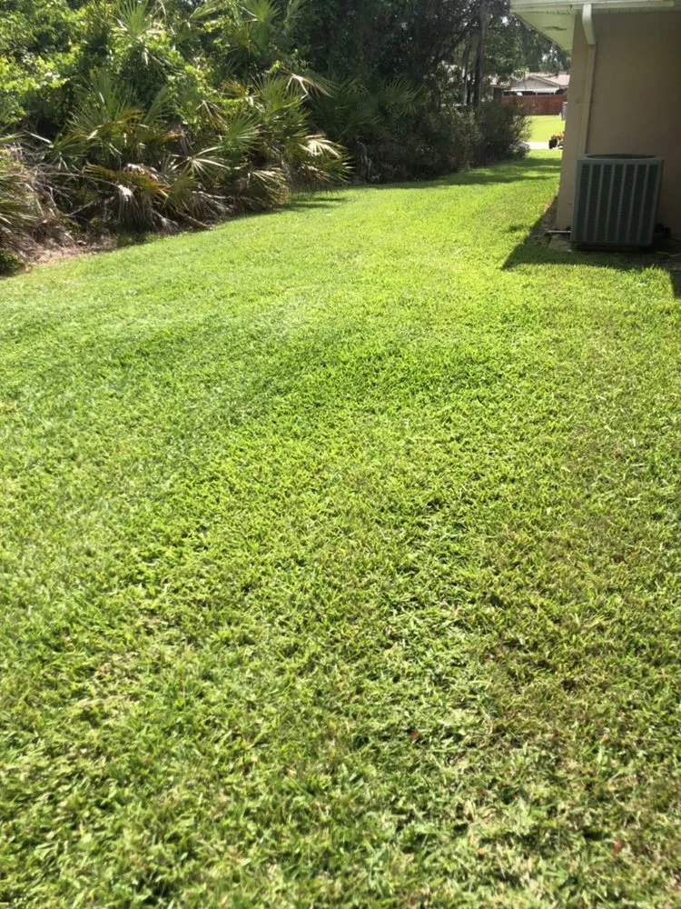 Expert lawn mowing service for homes across Bowling Green, FL - A Superior Lawn Care and Trimming