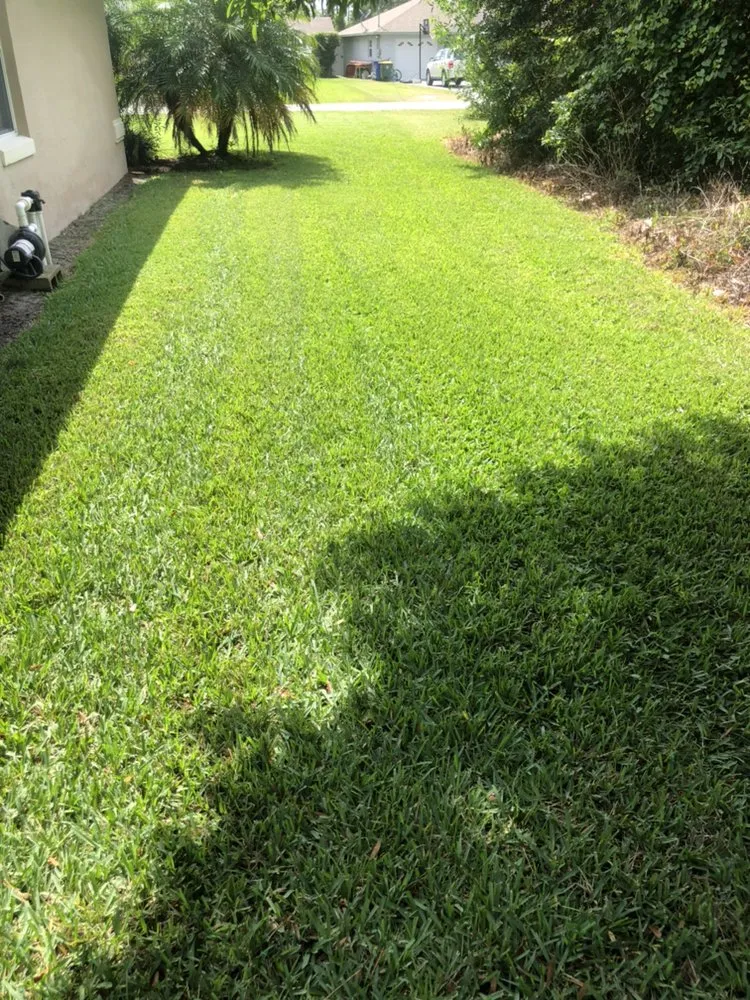 Affordable lawn care service near you in Bowling Green, FL by A Superior Lawn Care and Trimming