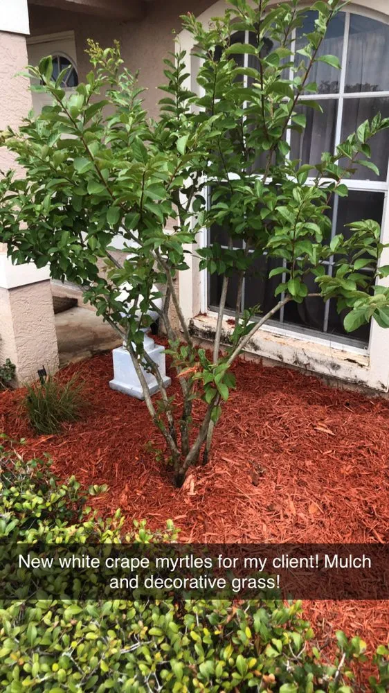 Local lawn care service with custom design in Bowling Green, FL by A Superior Lawn Care and Trimming