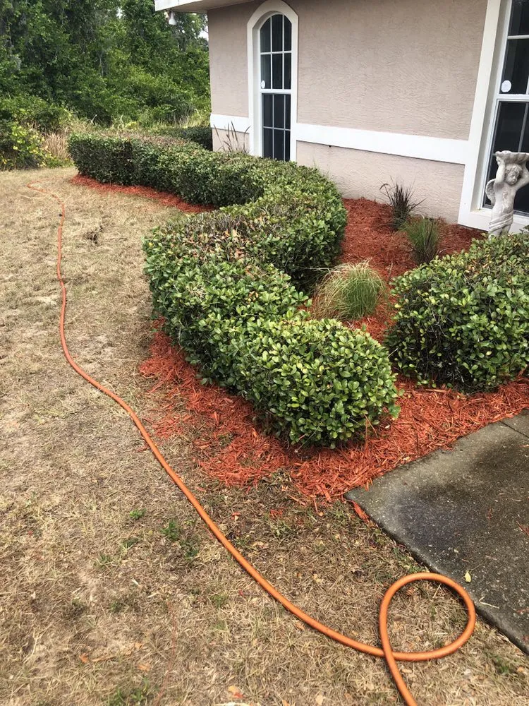 Trusted yard cleanup service experts serving Bowling Green, FL - A Superior Lawn Care and Trimming