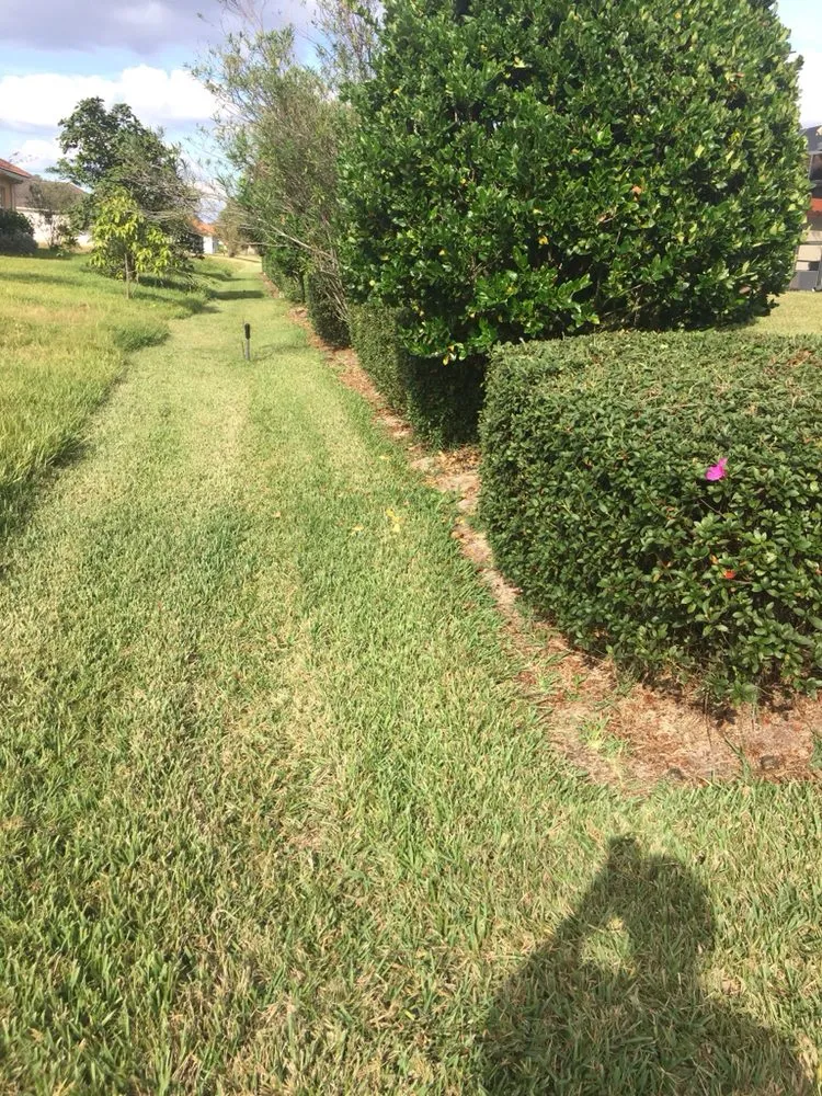 Trusted lawn mowing service in Bowling Green, FL by A Superior Lawn Care and Trimming