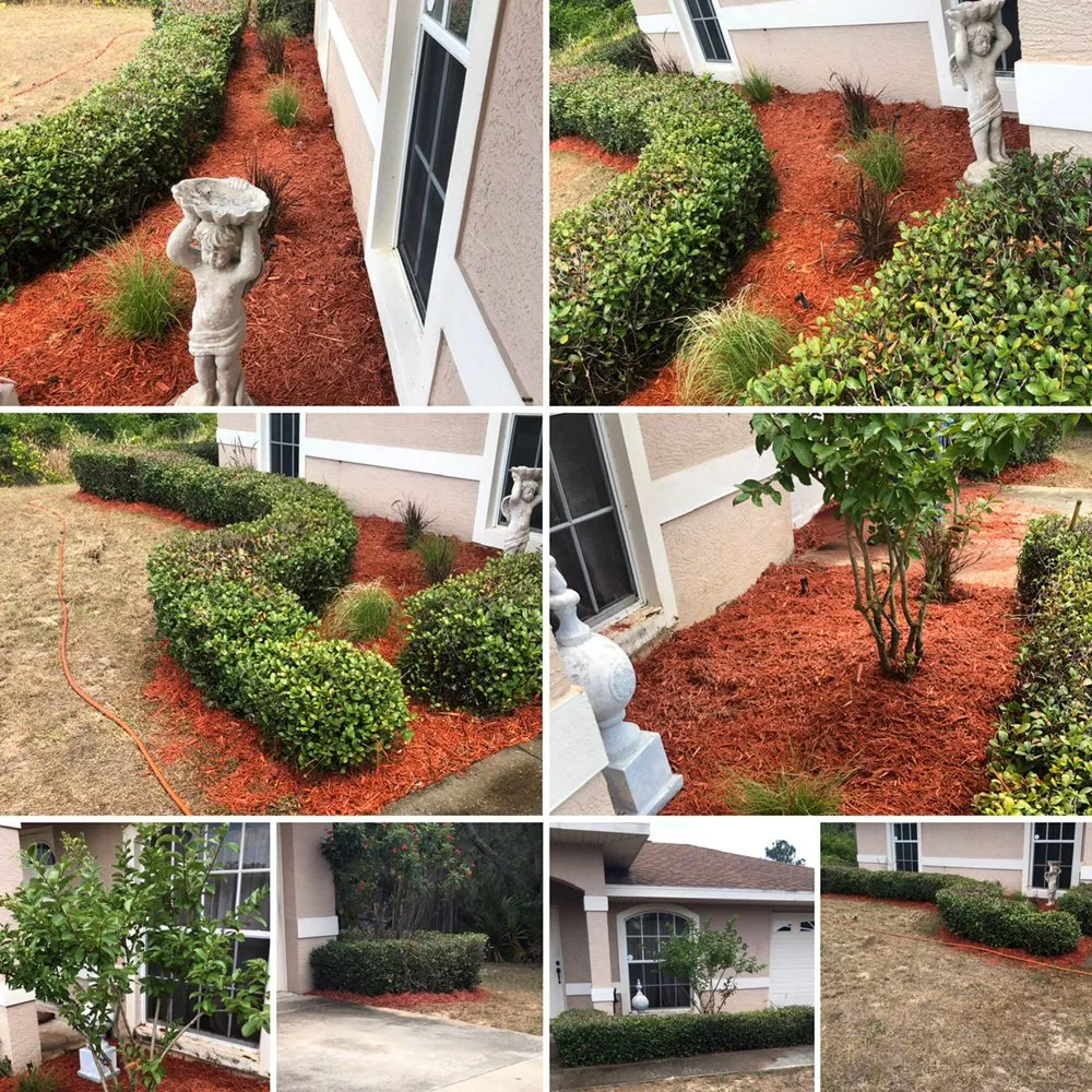 Local lawn care service for year-round maintenance in Bowling Green, FL by A Superior Lawn Care and Trimming
