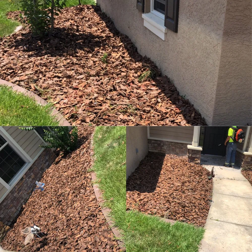 Affordable residential landscaping in Bowling Green, FL - A Superior Lawn Care and Trimming
