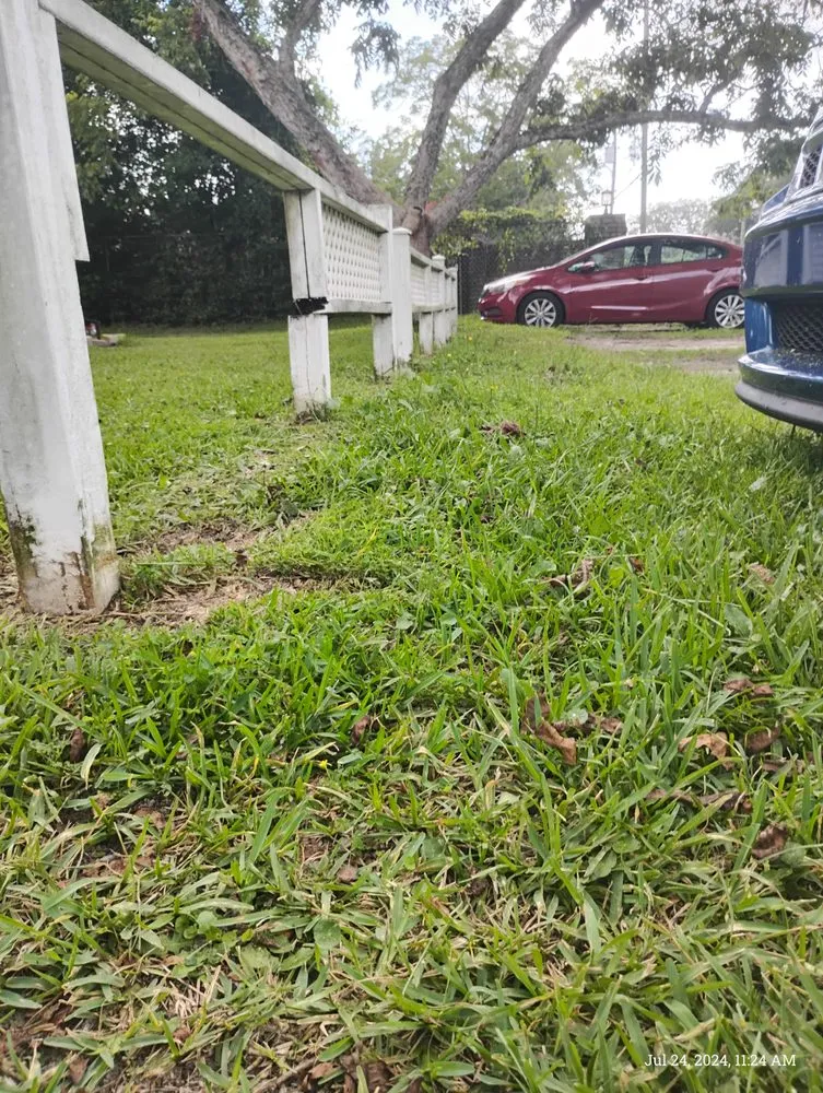 Professional yard cleanup service for outdoor upgrades in Pensacola, FL by A T D Landscapes and Fence