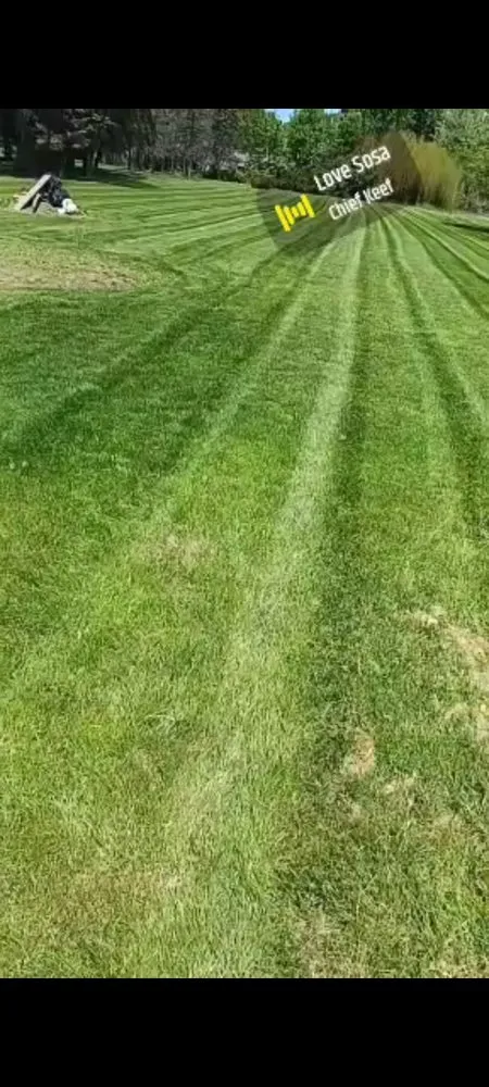 Custom yard cleanup service in Columbus, OH - A T Lawn Care