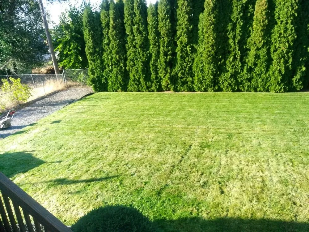 Affordable yard cleanup service in Spokane, WA by A T W Lawn Care & More
