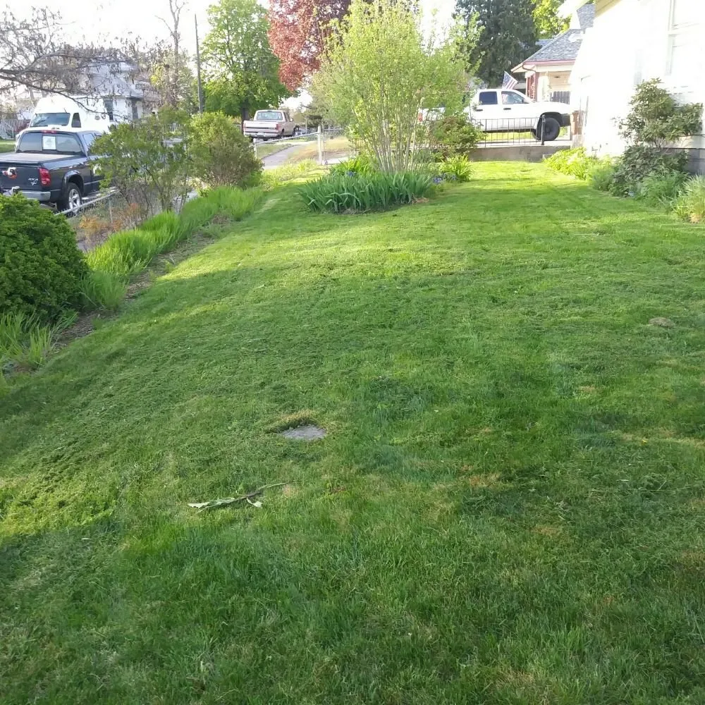 Local lawn care service for beautiful yards in Spokane, WA by A T W Lawn Care & More