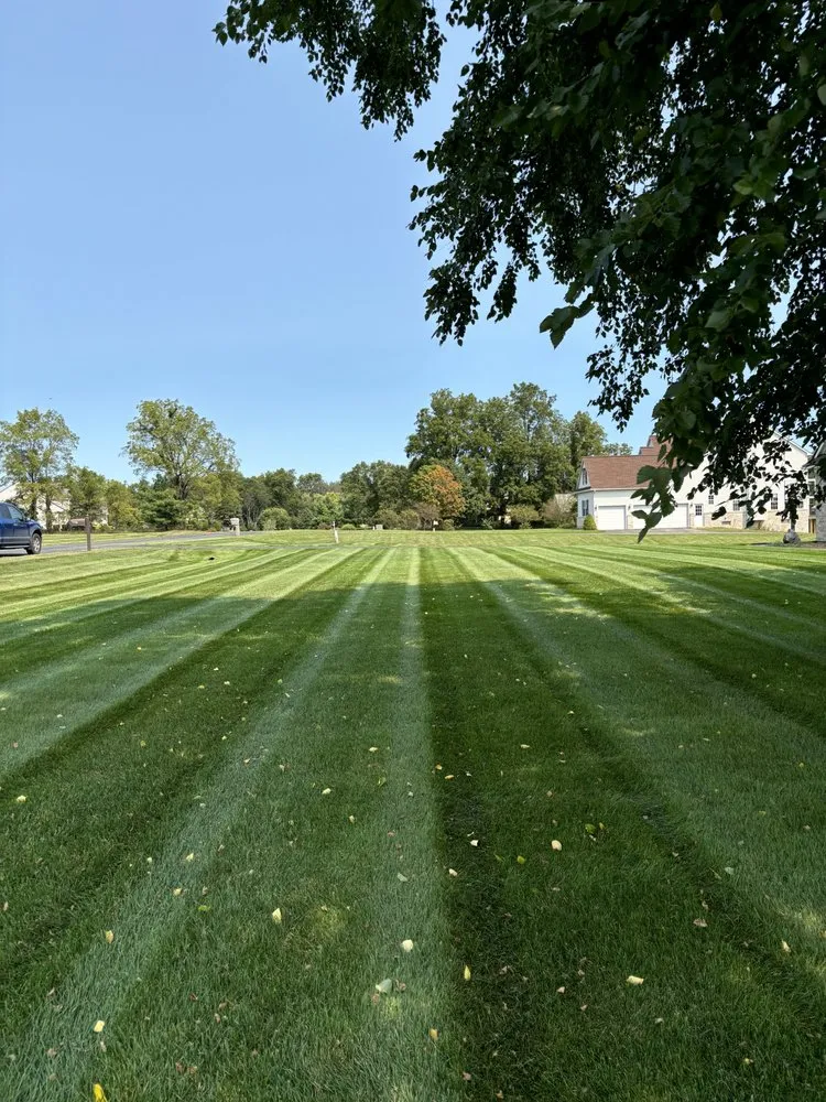 Custom landscape installation in Whitmore Lake, MI - A T Yard Maintenance