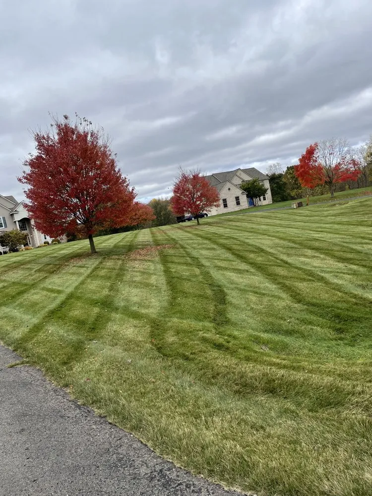 Expert yard cleanup service for beautiful yards across Whitmore Lake, MI - A T Yard Maintenance