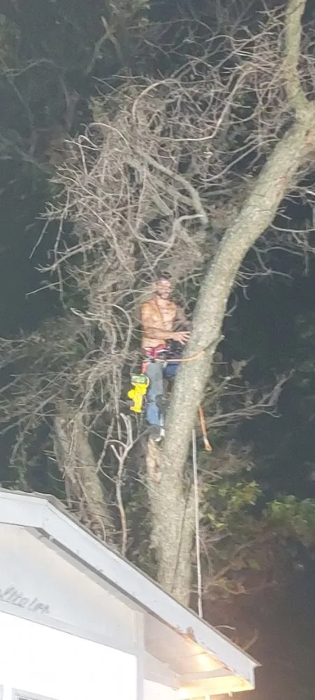 Professional landscape design for beautiful yards across Stillwater, OK - A Team Handyman Pro