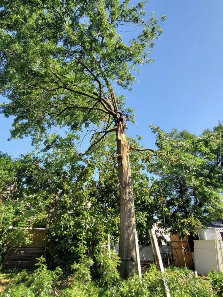 Local residential landscaping in Culpeper, VA by A-Team lan