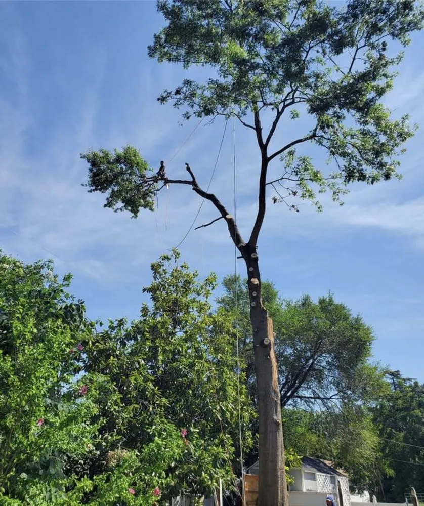 Custom yard maintenance in Culpeper, VA - A-Team lan