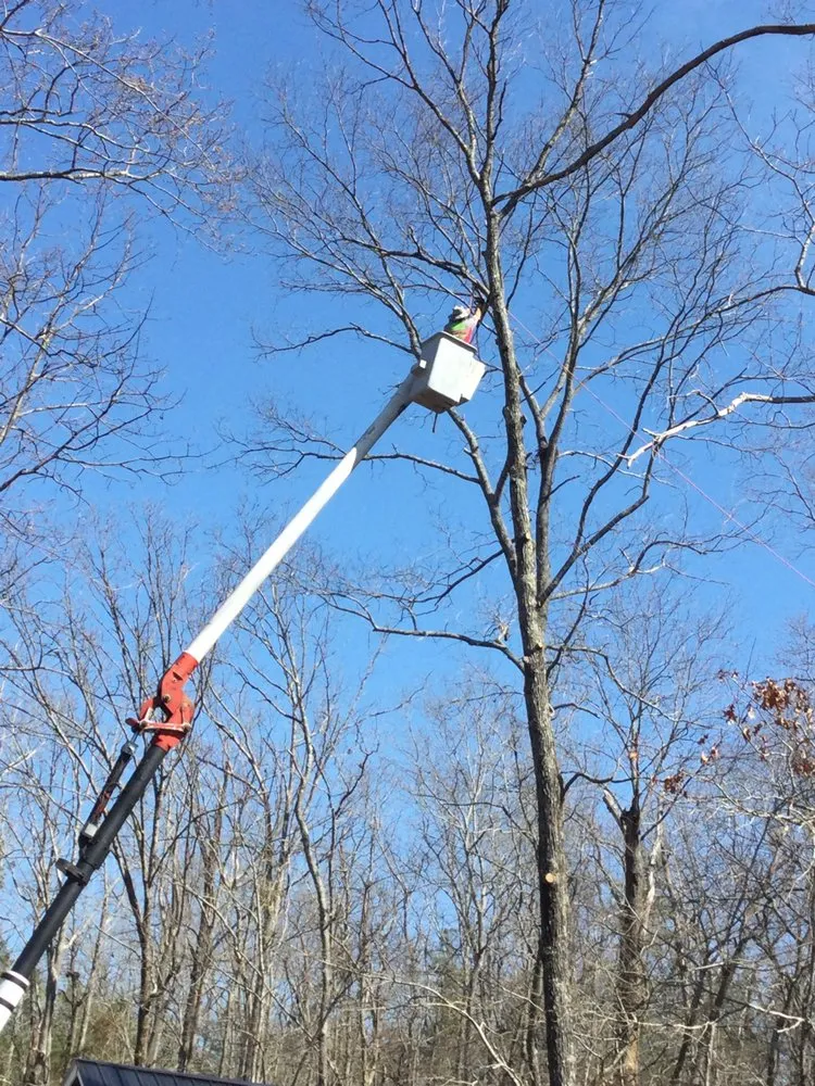 Reliable outdoor landscaping in Jacksonville, AL by A Team Project Services