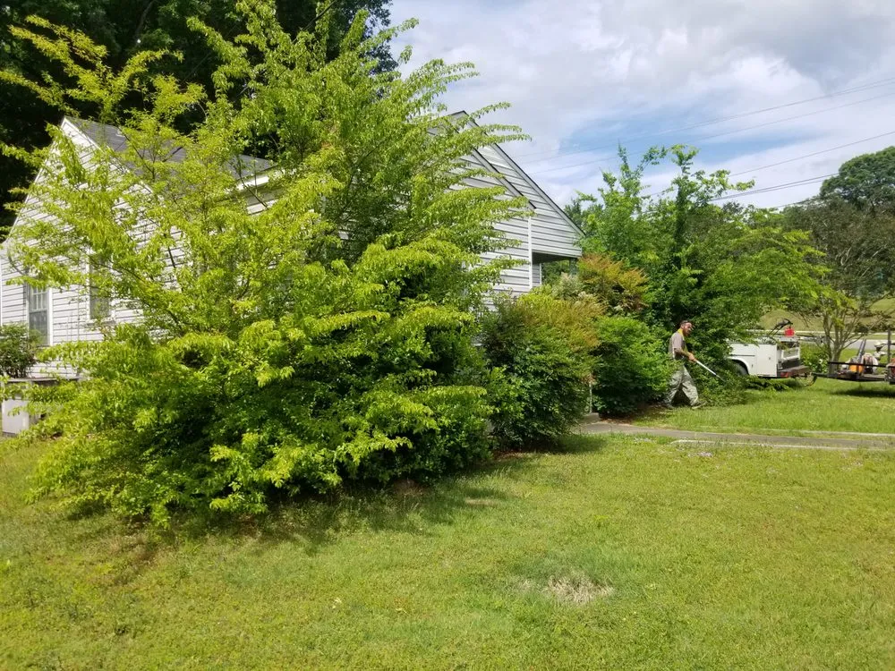 Custom lawn care service in Jacksonville, AL by A Team Project Services