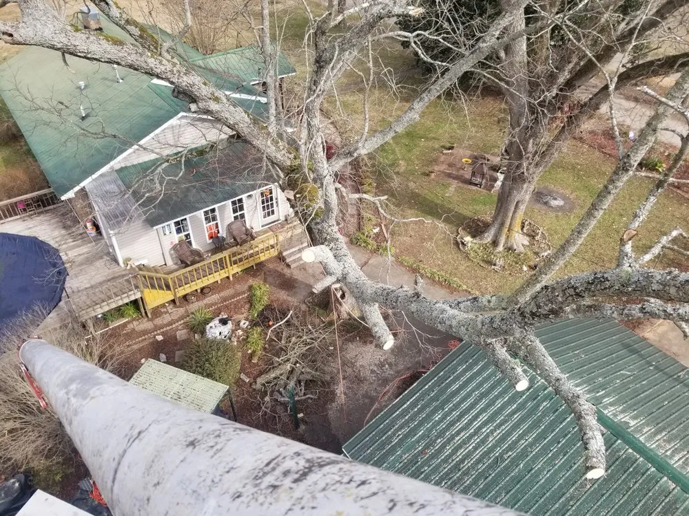 Professional residential landscaping with custom design across Jacksonville, AL - A Team Project Services