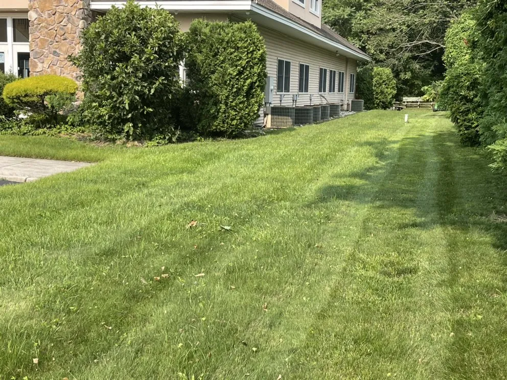 Professional outdoor landscaping in Vineland, NJ - A Team Property Solutions
