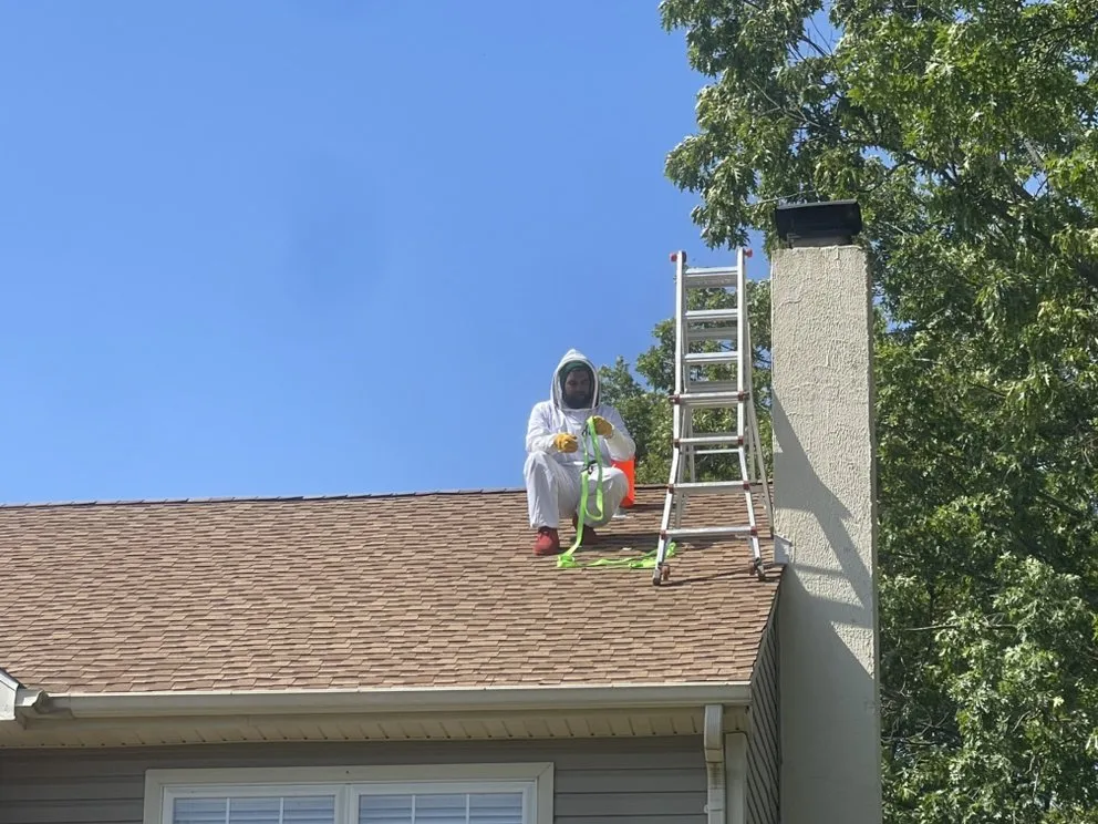 Custom garden landscaping in Vineland, NJ by A Team Property Solutions