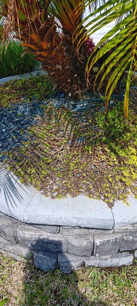 Professional lawn care service for beautiful yards across Ocala, FL - A Team Weeding And Landscaping