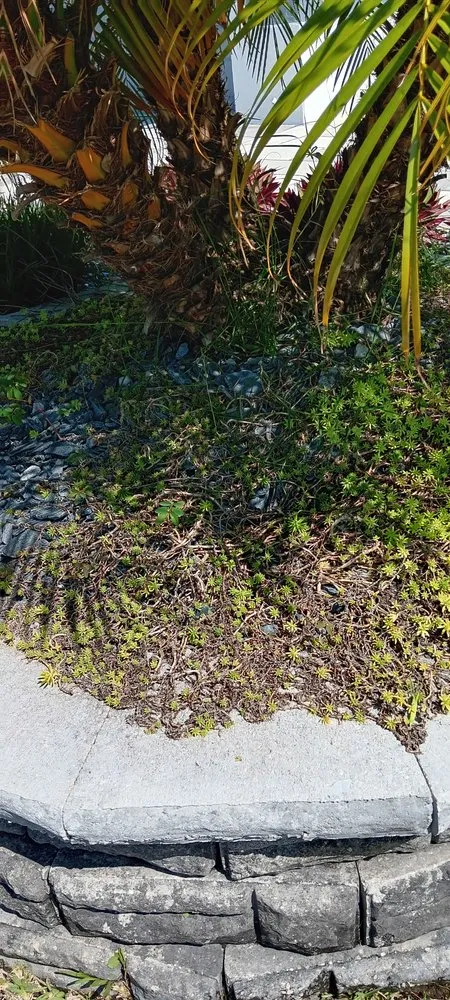 Trusted landscape installation experts serving Ocala, FL - A Team Weeding And Landscaping