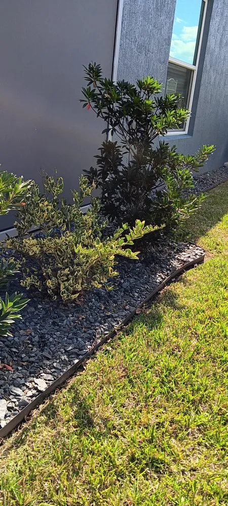 Expert yard cleanup service for residential properties across Ocala, FL - A Team Weeding And Landscaping