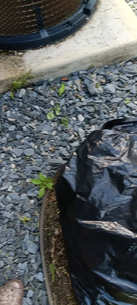 Expert garden landscaping near you across Ocala, FL - A Team Weeding And Landscaping