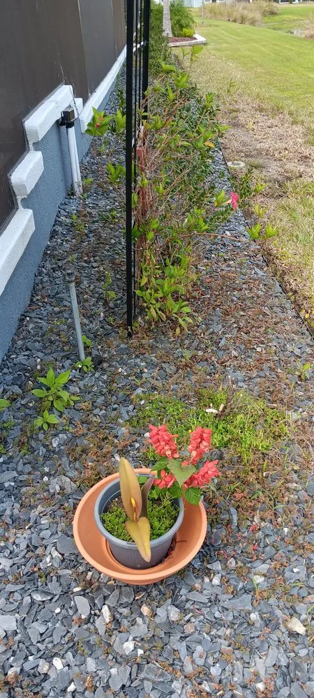 Expert landscape installation experts serving Ocala, FL - A Team Weeding And Landscaping