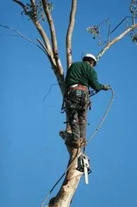 Reliable landscaping services experts serving Woodstock, IL - A-Timberworks