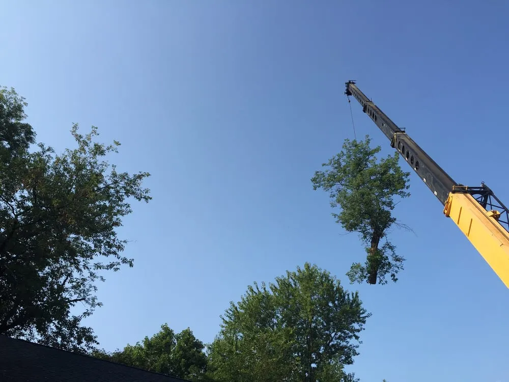 Reliable garden landscaping in Woodstock, IL - A-Timberworks