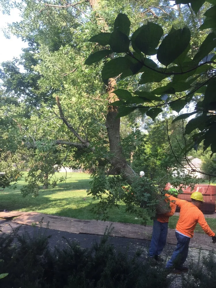 Reliable lawn mowing service for homes across Woodstock, IL - A-Timberworks