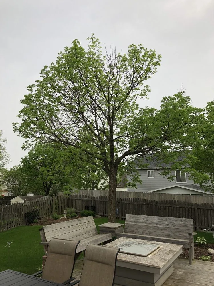 Top-rated yard maintenance in Woodstock, IL by A-Timberworks