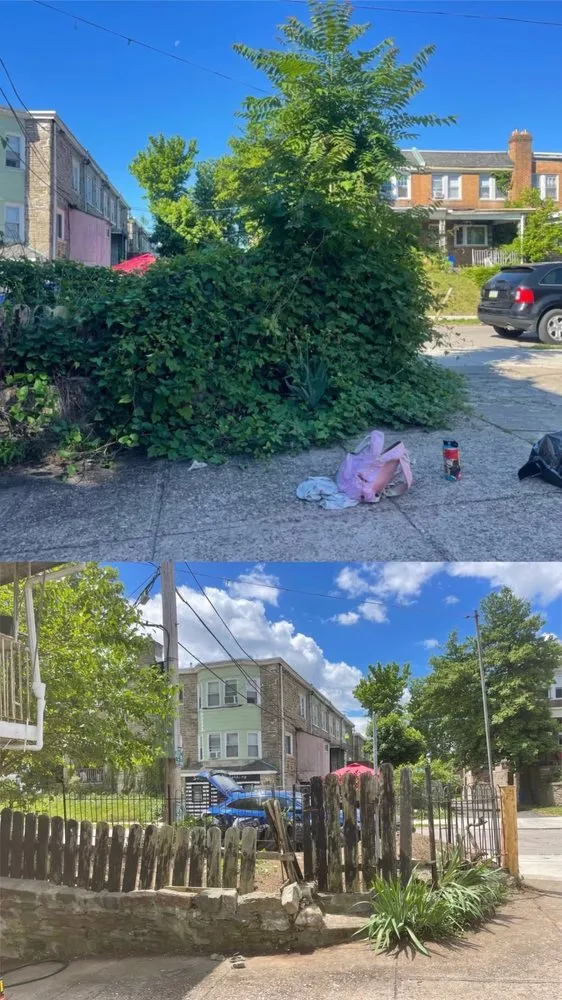 Affordable residential landscaping experts serving Philadelphia, PA - A Tiny Om