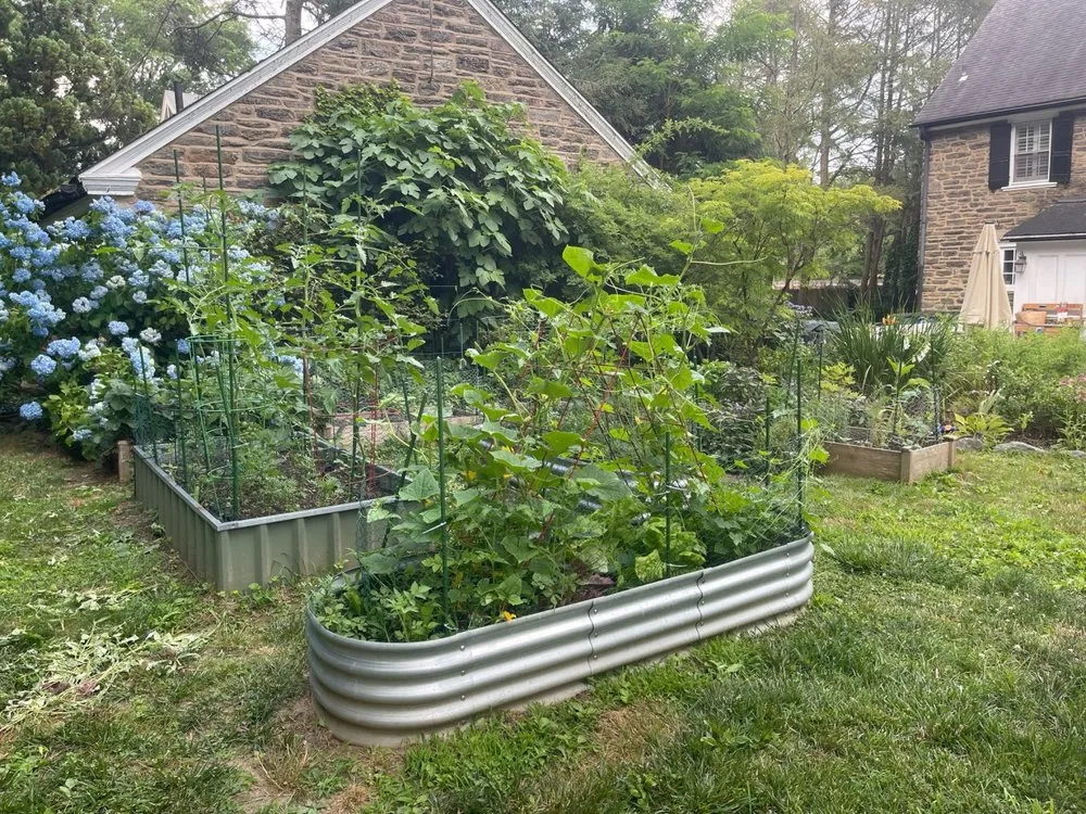 Trusted yard maintenance in Philadelphia, PA by A Tiny Om