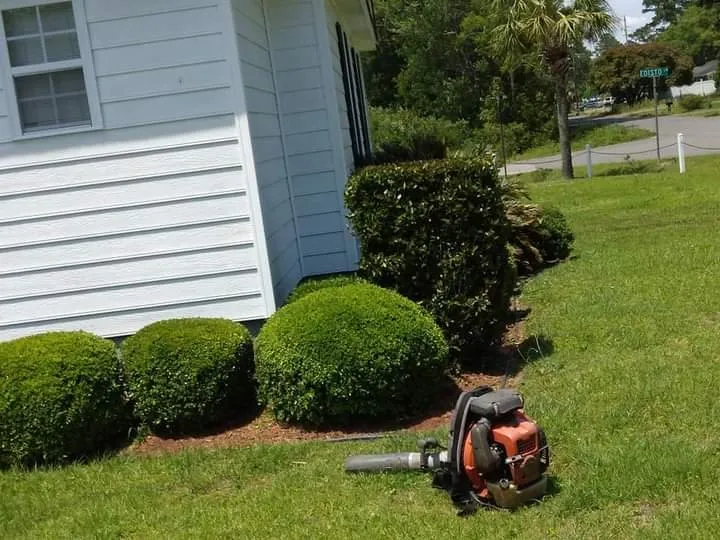 Professional landscape installation experts serving Georgetown, SC - A to B Lawn Service