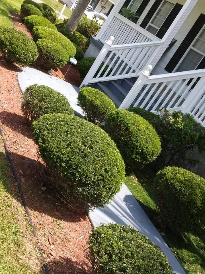 Affordable landscaping services in Georgetown, SC - A to B Lawn Service