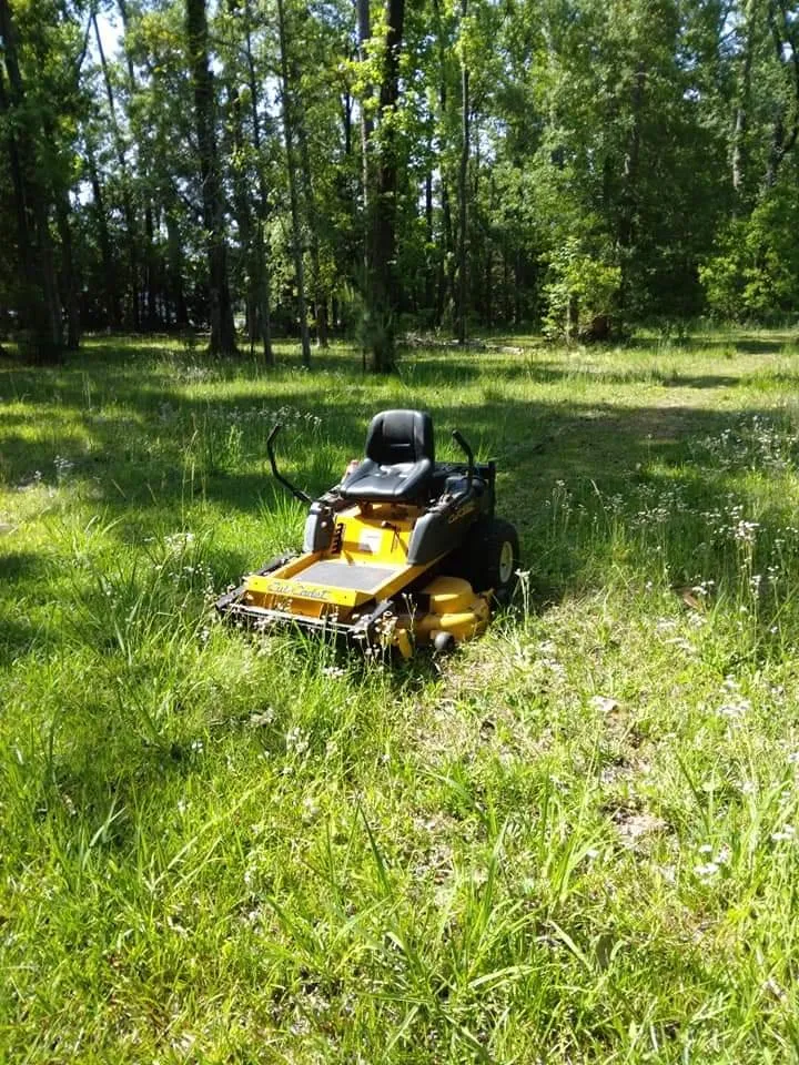 Custom landscaping services in Georgetown, SC - A to B Lawn Service