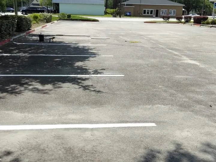 Reliable lawn care service with custom design across Georgetown, SC - A to B Lawn Service