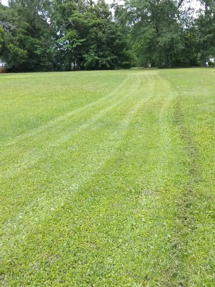 Custom yard maintenance for residential properties in Georgetown, SC by A to B Lawn Service