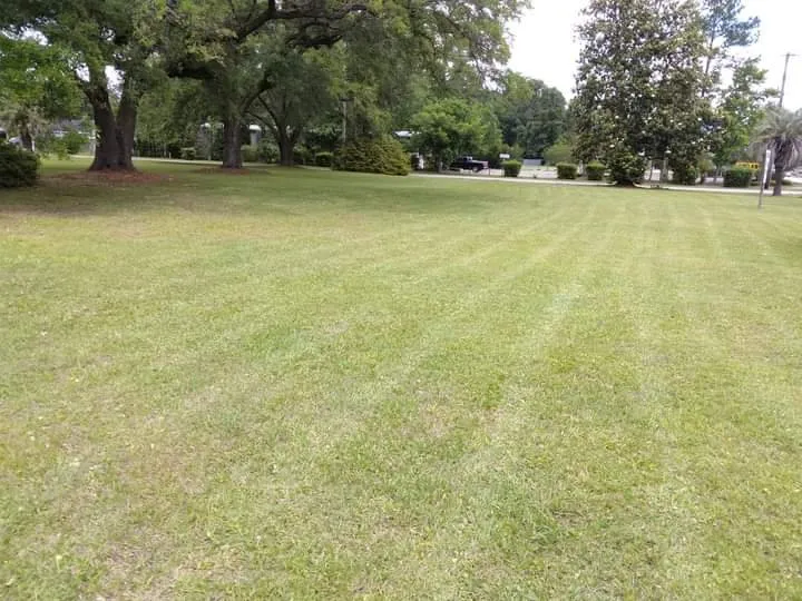 Affordable landscape design in Georgetown, SC by A to B Lawn Service
