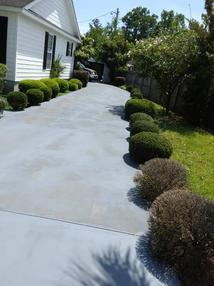 Top-rated landscaping services in Georgetown, SC - A to B Lawn Service