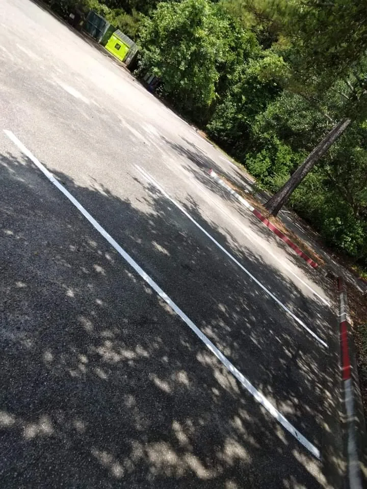 Custom lawn care service experts serving Georgetown, SC - A to B Lawn Service