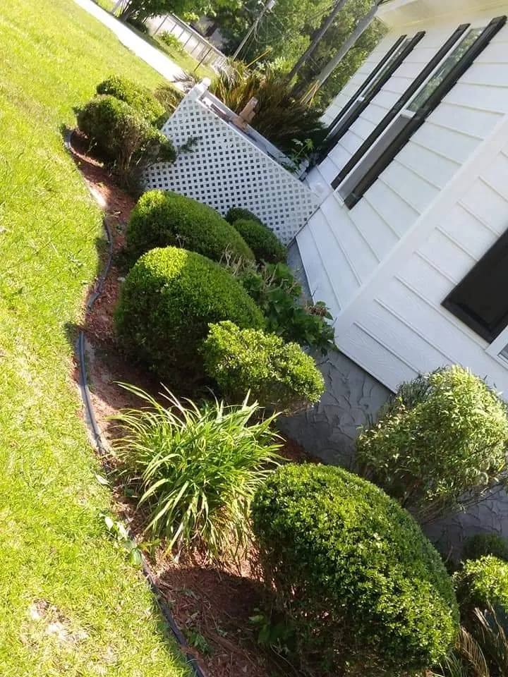 Top-rated landscape installation for year-round maintenance in Georgetown, SC by A to B Lawn Service