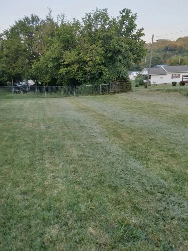 Expert landscaping services in Kingsport, TN - A to Z By Double B