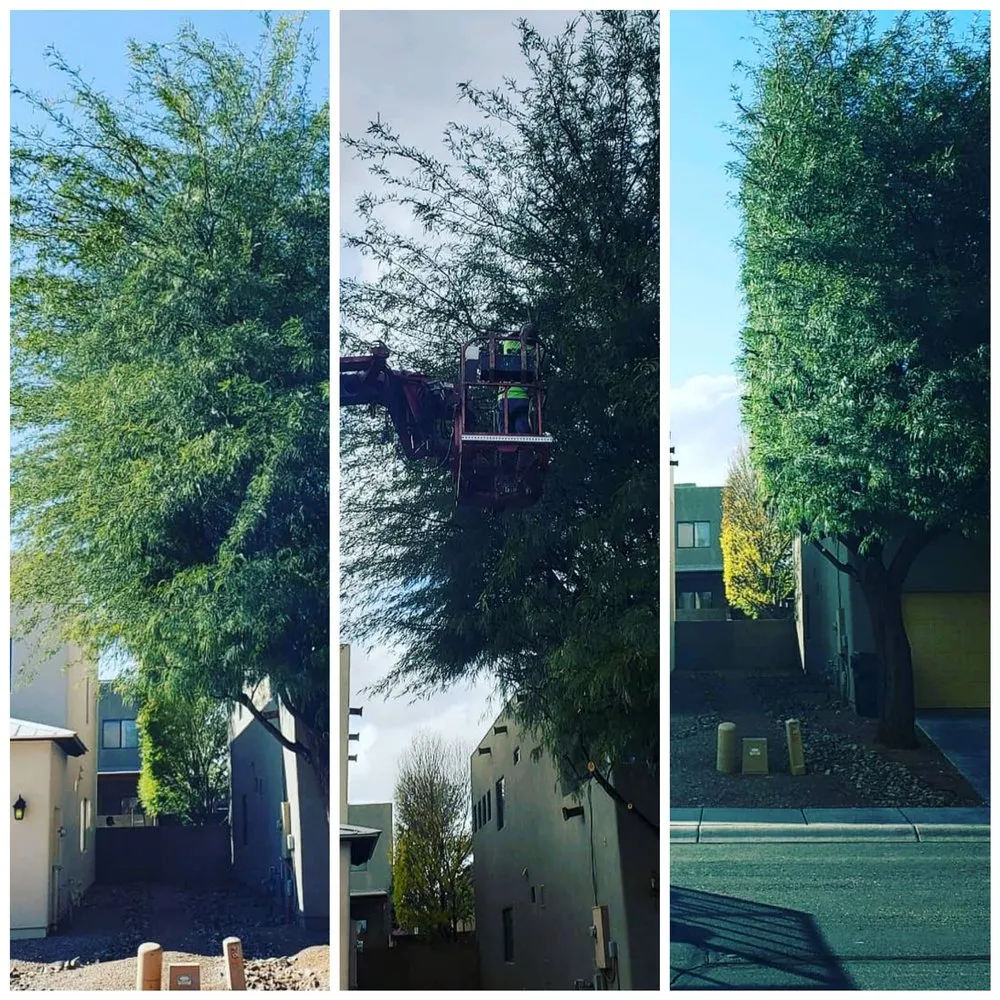 Trusted yard maintenance in Sierra Vista, AZ - A to Z Grounds Keeping