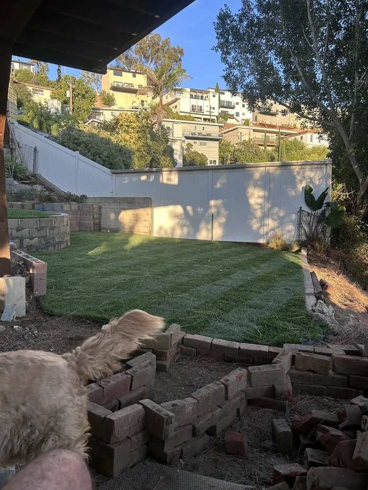 Professional outdoor landscaping experts serving Glendale, CA - A To Z Landscaping